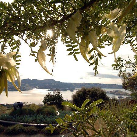 Larnach Lodge & Stable Stay Dunedin Exterior foto